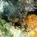 Wasser - Blasen