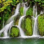Wasser - Green