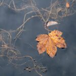 Wasser - Floating