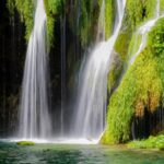 Wasser - Green