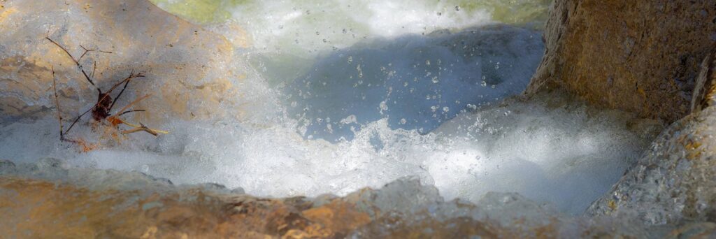 Whitewater
