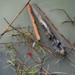 Wasser - Floating