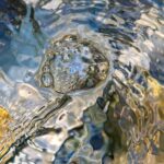 Wasser - Blasen
