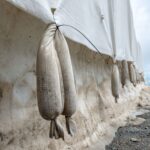 Gletscher im Sommer